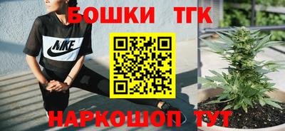 спиды Гагарин