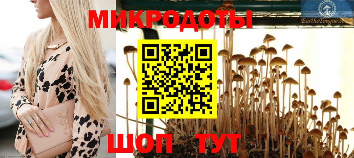 магазин  наркотиков  Галлюциногенные грибы мицелий  Псилоцибиновые грибы мухоморы  Вход с VPN  Похвистнево 