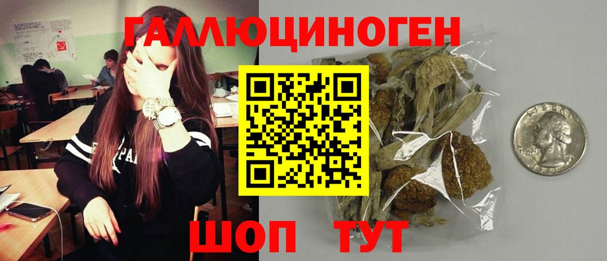 Галлюциногенные грибы Psilocybine cubensis Похвистнево